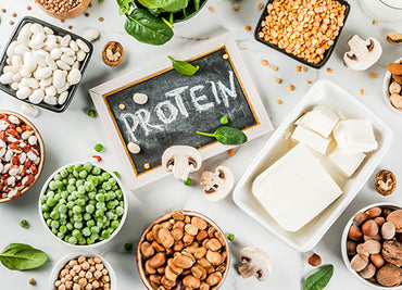 How Much Protein is Too Much Protein?